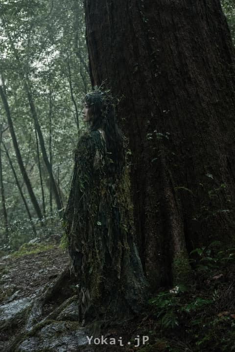 木灵 — 与妖怪擦肩的令和日常