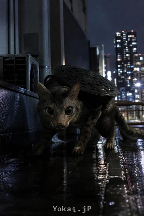 Gato-jabalí con alcantarilla a la espalda — Cruzándose con los Yokai: El día a día en la era Reiwa