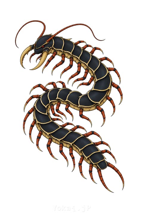 Grand Centipède — Yōkai révélés